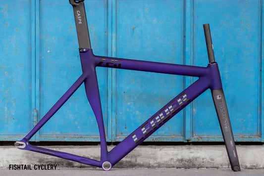 Leader Bikes - LEADER 725 Frameset with LEADER I806 Fork - FISHTAIL CYCLERY
