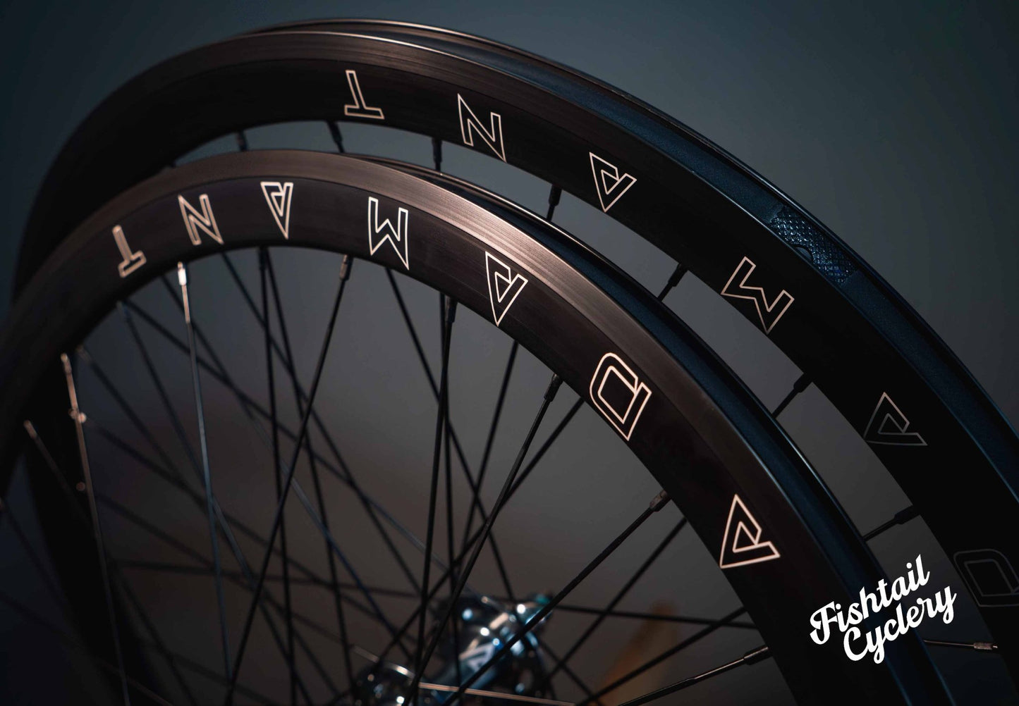 ASCENT X FISHTAIL - ASCENT X FISHTAIL Adamant Fixed Gear Wheelset 2026 - FISHTAIL CYCLERY