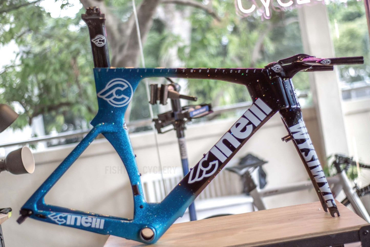 CINELLI WYSIWYG Time Trial Bike Frameset – FISHTAIL CYCLERY