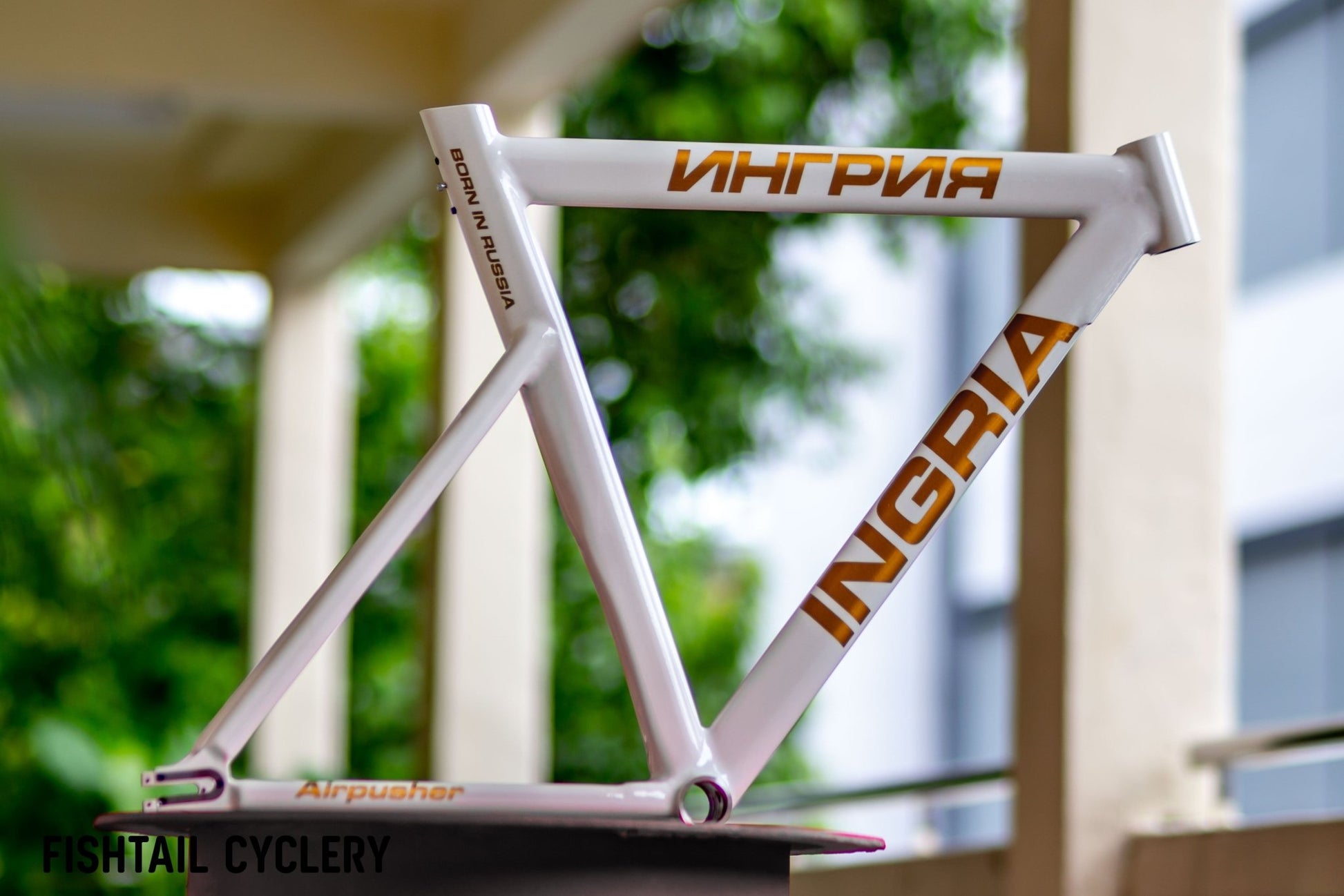 Ingria - INGRIA Airpusher Track Bike Frame - FISHTAIL CYCLERY