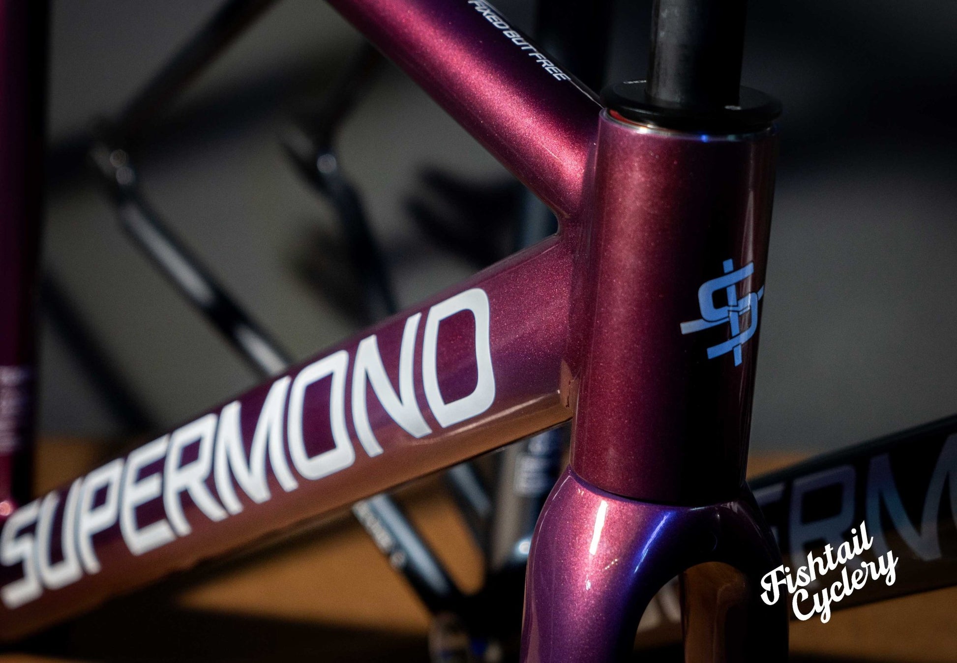 SUPERMOND - SUPERMOND Alphi Frameset - FISHTAIL CYCLERY