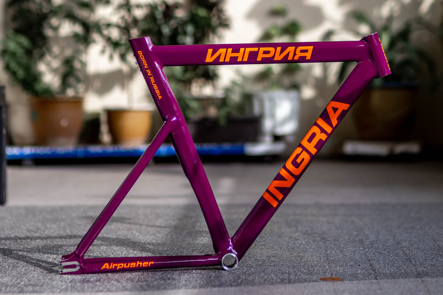 INGRIA Airpusher Track Bike Frame